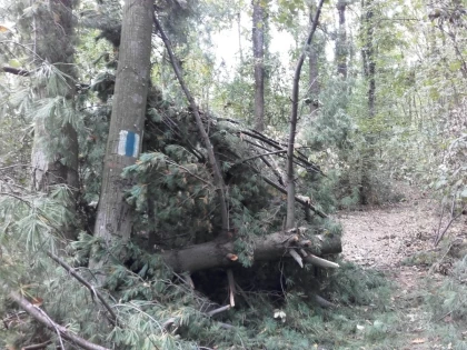 Mai multe trasee montane din Arad sunt afectate şi trebuie evitate