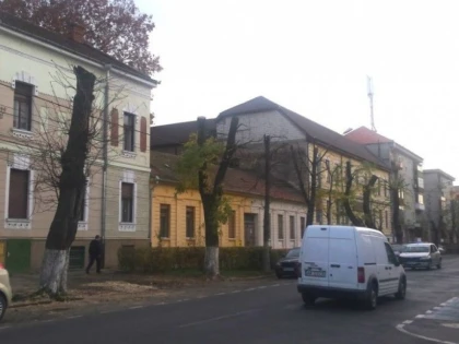 MASACRUL COPACILOR CONTINUA: UNIVERSUL VERDE A FACUT PRAPAD PE STRADA STEFAN AUGUSTIN DOINAS