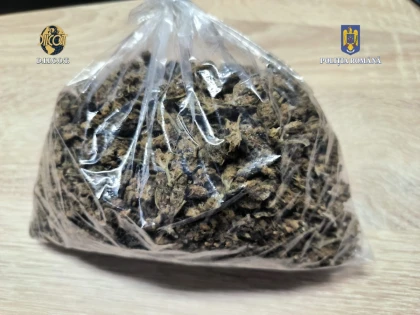 Medic ortoped din Arad, prins de DIICOT când ridica 20 de kilograme de cannabis, dintr-o benzinărie