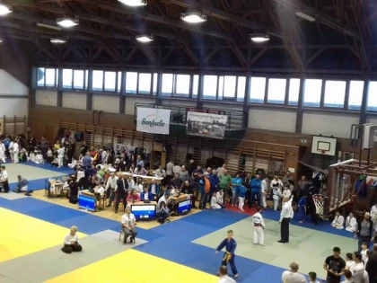 Micii judoka s-au remarcat la două competiții în Ungaria