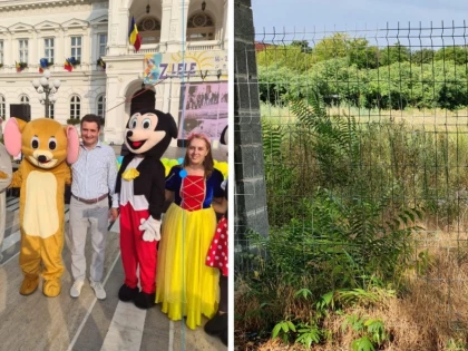 Mickey Mouse Bibi a promis un nou parc și ne-am ales cu... o plantație de ambrozie, pe terenul fostei fabrici Tricoul Roșu