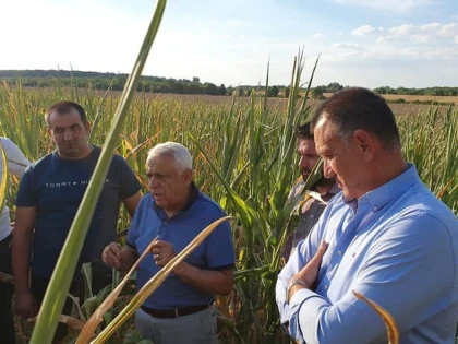 Mihai Fifor: Ministrul Agriculturii, Petre Daea, a demonstrat, a mia oara, că îi pasă și că îi respectă profund pe fermierii arădeni