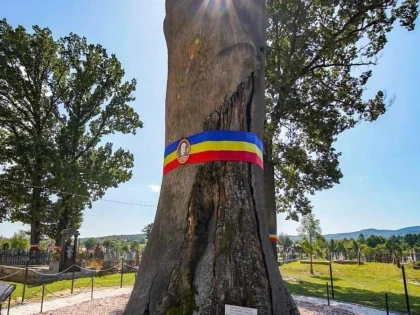 Mii de oameni prezenţi la Serbările Naţionale de la Ţebea, dedicate memoriei lui Avram Iancu
