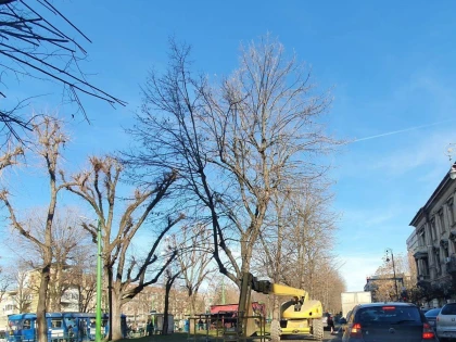 Mintea și mai odihnită a lui Bibarț blochează acum traficul Aradului
