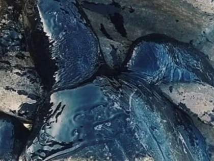 Misterul petelor de petrol, care au poluat peste 100 de plaje din Brazilia