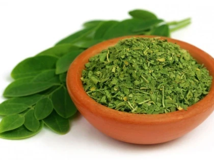MORINGA, PLANTA CARE ÎMBUNĂTĂŢEŞTE DENSITATEA OSOASĂ