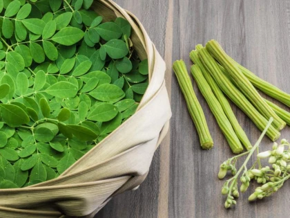 Moringa protejează ficatul