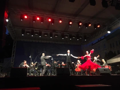 Municipiul Arad, reprezentat cu succes la Pécs