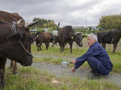 NAOTO MATSUMARA, PĂZITORUL ANIMALELOR DIN FUKUSHIMA