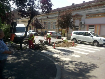NOI LUCRARI DE MANTUIALA: STRADA CRISAN, PROASPAT ASFALTATA, A FOST SPARTA