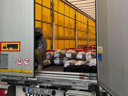 Nouă cetăţeni din Afganistan, depistaţi la frontiera de vest