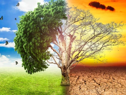 Nouă din zece români consideră că schimbările climatice sunt reale