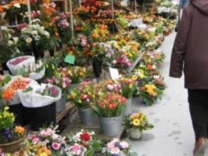Nu toată lumea merge la florărie pentru flori. Ce a făcut o femeie de 30 de ani, în Șagu
