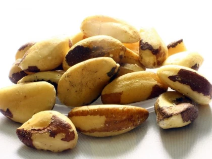 Nucile braziliene întârzie procesele îmbătrânirii