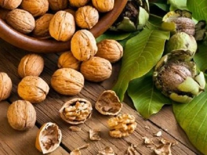 Nucile scad riscul de deces din cauza bolilor cardiovasculare