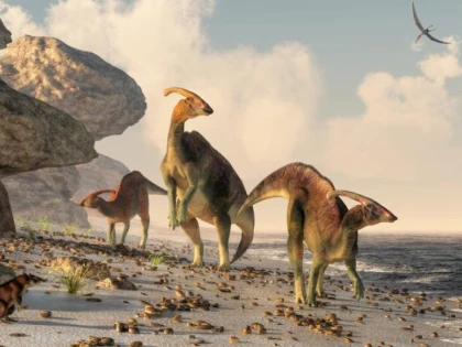 O boală rară care încă afectează omenirea, descoperită în rămăşiţele fosilizate ale unui dinozaur