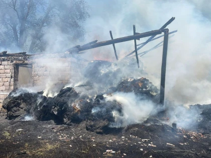 O casă din Avram Iancu, salvată în ultima clipă de pompieri. Adăpostul de animale a ars complet