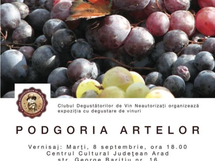 O EXPOZITIE UNICA IN ROMANIA, CE ARE CA TEMA VINUL, A FOST DESCHISA LA ARAD