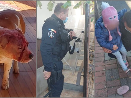 O familie atacată de proprii câini a fost salvată de jandarmi