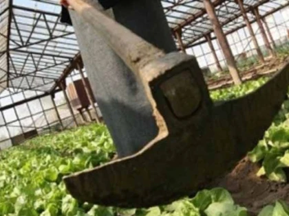 O femeie din Vânători și-a lovit soțul cu sapa în cap