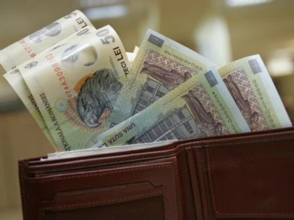 O MAMA A SASE COPII A GASIT UN PORTOFEL CU 20.000 DE LEI, PE CARE L-A PREDAT POLITIEI