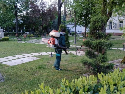 O nouă dezinsecție în municipiul Arad 