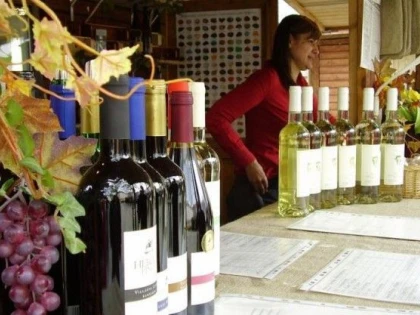 O NOUĂ EDIȚIE A FESTIVALULUI VINULUI. VEZI PROGRAMUL COMPLET