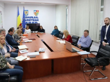 O nouă întâlnire de lucru în cadrul proiectului „Anticor Arad”