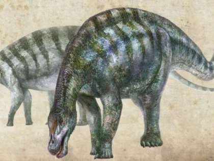 O nouă specie de dinozauri descoperită în Ecuador