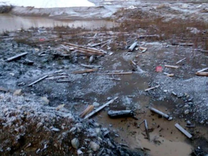 O pasăre care a trăit în urmă cu 46.000 de ani, descoperită în Siberia