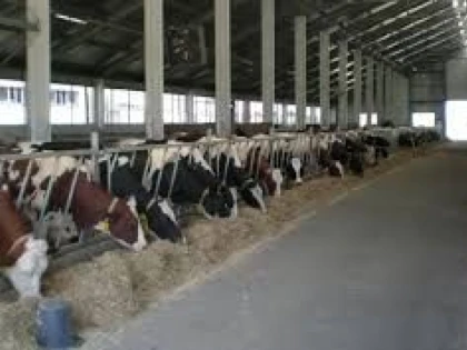 O VESTE EXCELENTĂ ÎNAINTE DE AGROMALIM: 15 MII DE EURO PENTRU ZOOTEHNIȘTI