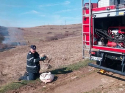 Oameni și fapte! Câine salvat de la incendiu după ce fusese legat într-un sac
