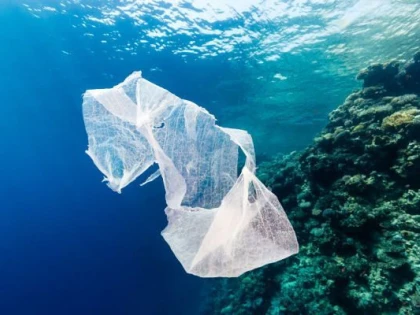 Oamenii de ştiinţă au creat o enzimă care reciclează plasticul în câteva ore