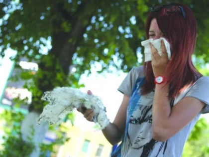 Obiceiuri zilnice, aparent inofensive, care îți agravează alergia la polen și puful de la plopi