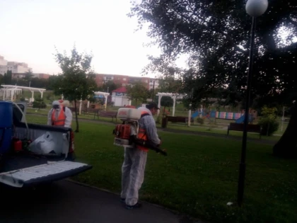 OPERAŢIUNEA ANTI-ŢÂNŢARI A ÎNCEPUT VINERI DIMINEAŢĂ