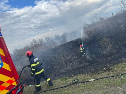 Opt incendii de vegetație uscată au pus pe jar pompierii arădeni în ultimele trei zile. Flăcările au afectat aproximativ 35 de hectare de teren