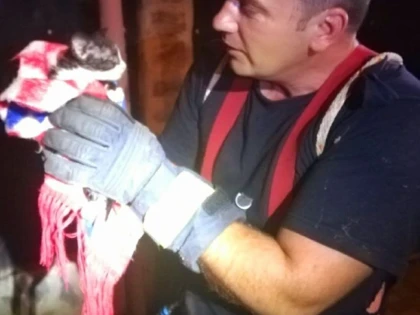 Orice suflet contează! Pompierii din Sebiș au salvat o pisică dintr-o fântână