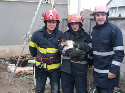 Orice viață contează! Pompierii arădeni au salvat o pisică, care a căzut într-o fântână