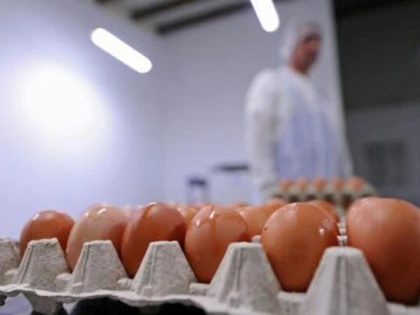 OUALE, LEGUMELE SI CONSERVELE DE LEGUME S-AU SCUMPIT CEL MAI MULT, IN DECEMBRIE