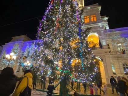 Pădurarul şef al Municipiului Arad a găsit cel mai groaznic brad