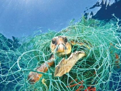 Până în anul 2050, în oceanele lumii ar putea fi mai mult plastic decât peşti