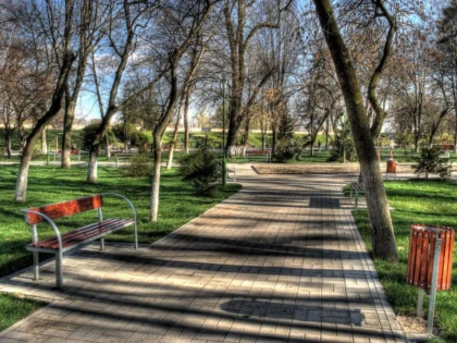 Parcul Copiilor va purta numele lui Zsolt Torok