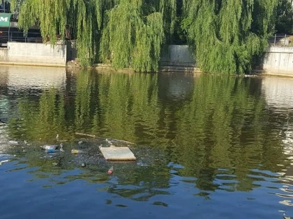 Parcul Pădurice - mizeria în care arădenii sunt obligați să își plimbe copiii, la 31 de grade