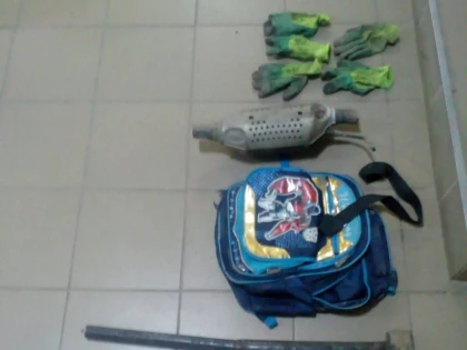 Patru tineri au fost prinși în flagrant, în timp ce furau catalizatoare de la mașini