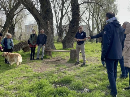 „Pe urmele arborilor remarcabili ai Aradului” – Tur ghidat prin biodiversitatea urbană a Luncii Mureșului