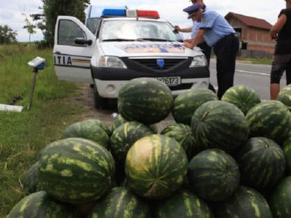 Pepeni fără acte de proveniență, confiscați de polițiștii arădeni