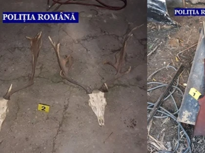 Percheziții domiciliare în mai multe localități din județ. Trei persoane au fost reținute pentru 24 de ore