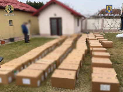 Percheziții în Arad, la un grup infracțional organizat care a atacat mai multe trenuri de marfă în Germania