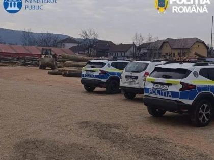 Percheziții la un depozit de lemn din Gurahonț. Polițiștii au indisponibilizat marfă de 125.000 de lei
