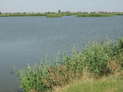 PESCĂRIA NĂDLAC A FOST DECLARATĂ ARIE NATURALĂ PROTEJATĂ